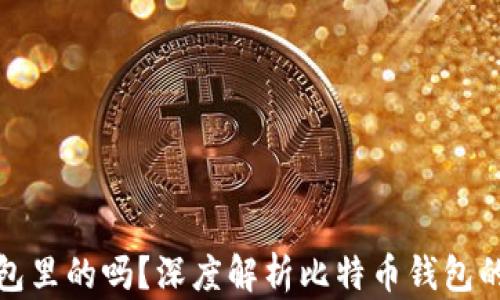 
比特币是存放在钱包里的吗？深度解析比特币钱包的工作原理与安全性