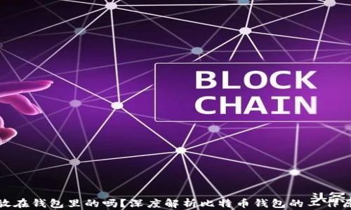 
比特币是存放在钱包里的吗？深度解析比特币钱包的工作原理与安全性