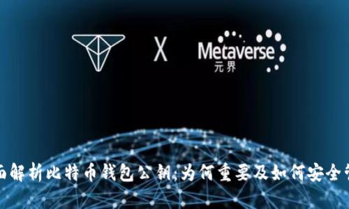 全面解析比特币钱包公钥：为何重要及如何安全管理