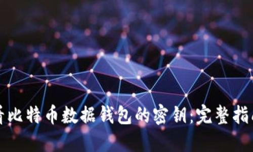如何查看比特币数据钱包的密钥：完整指南与技巧