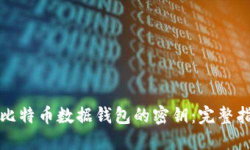 如何查看比特币数据钱包的密钥：完整指南与技巧