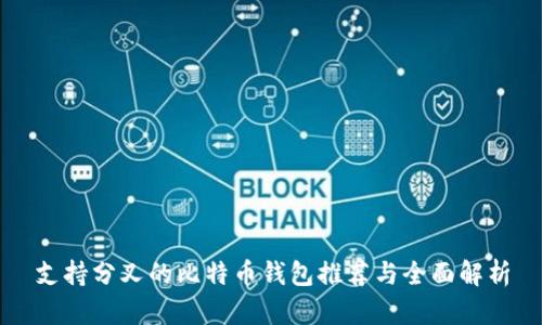 支持分叉的比特币钱包推荐与全面解析
