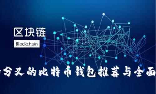 支持分叉的比特币钱包推荐与全面解析