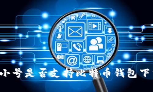 非小号是否支持比特币钱包下载？