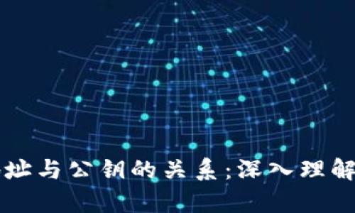 钱包地址与公钥的关系：深入理解与解析