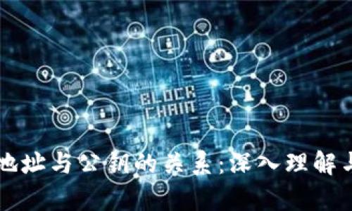 钱包地址与公钥的关系：深入理解与解析