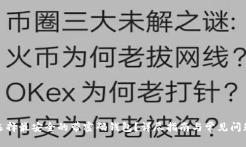 如何选择最安全的带密码钱包？详尽指南与常见问题解答