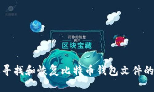 如何有效寻找和恢复比特币钱包文件的完整指南