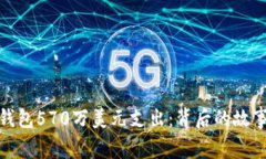 比特币钱包570万美元支出：背后的故事与影响
