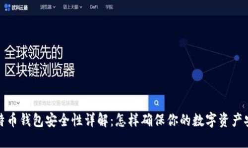 比特币钱包安全性详解：怎样确保你的数字资产安全
