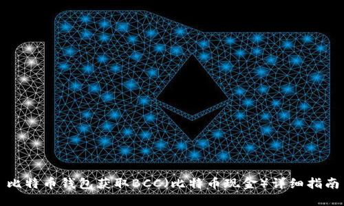比特币钱包获取BCC（比特币现金）详细指南