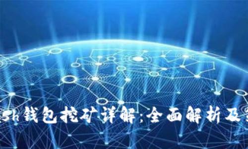 Hcash钱包挖矿详解：全面解析及策略
