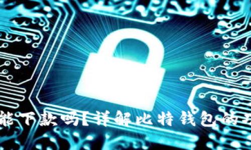 比特钱包能下款吗？详解比特钱包的功能与使用