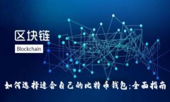 如何选择适合自己的比特币钱包：全面指南