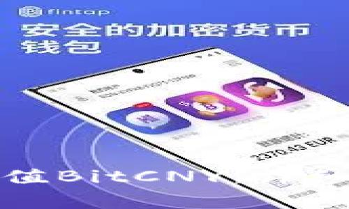 如何通过鼓鼓钱包充值BitCNY：详细指南与常见问题解答