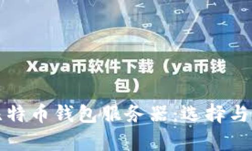 全面解析比特币钱包服务器：选择与安全性指南