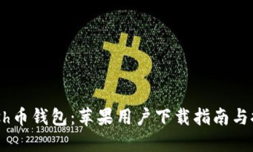 Dash币钱包：苹果用户下载指南与推荐