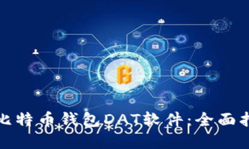 如何选择最佳比特币钱包DAT软件：全面指南与实用建议