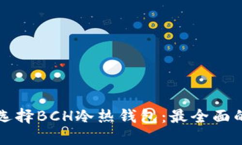如何选择BCH冷热钱包：最全面的指南
