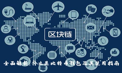 全面解析：什么是比特币钱包及其使用指南