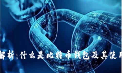 全面解析：什么是比特币钱包及其使用指南