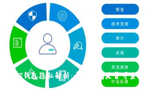 USDT钱包隐私解析：个人钱包是否可查询？