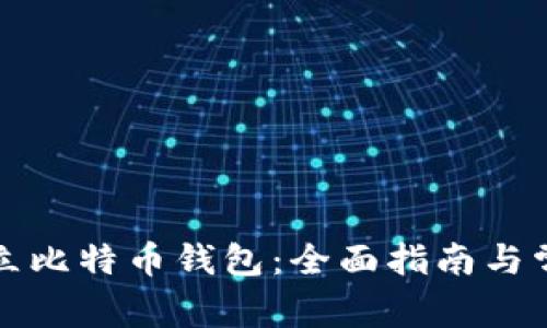 如何正确建立比特币钱包：全面指南与常见问题解答
