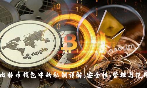 比特币钱包中的私钥详解：安全性、管理与使用