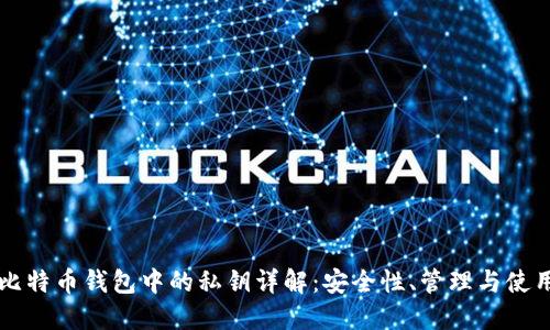 比特币钱包中的私钥详解：安全性、管理与使用