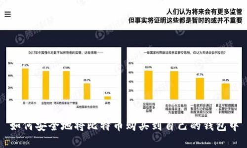 如何安全地将比特币购买到自己的钱包中