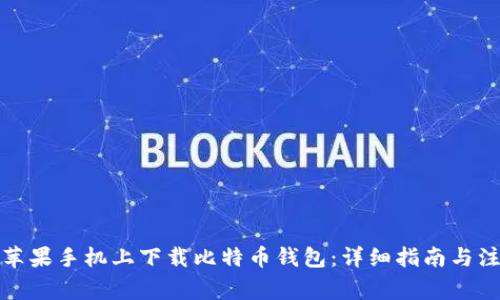 如何在苹果手机上下载比特币钱包：详细指南与注意事项