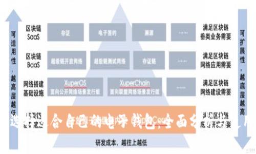  如何选择适合自己的电子钱包：全面分析与使用指南