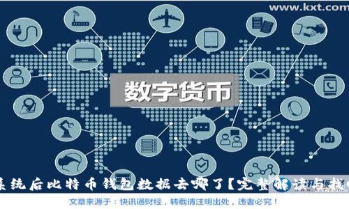 重装系统后比特币钱包数据去哪了？完整解读与找回方法