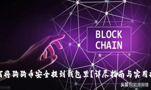 如何将狗狗币安全提到钱包里？详尽指南与实用技巧