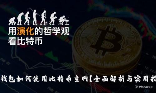 TP钱包如何使用比特币主网？全面解析与实用指南
