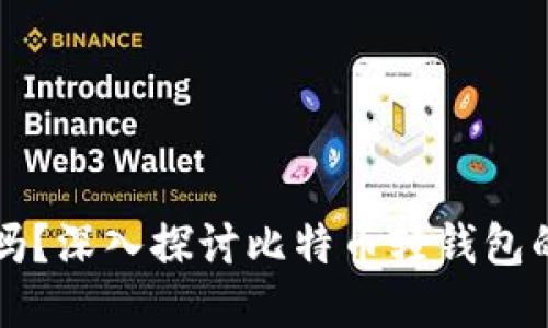 比特币轻钱包安全吗？深入探讨比特币轻钱包的安全性与使用技巧