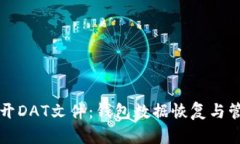 如何打开DAT文件：钱包数据恢复与管理指南