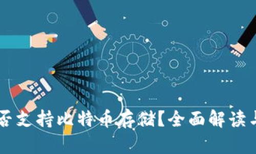 SC钱包是否支持比特币存储？全面解读与使用指南