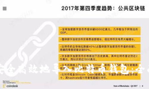 如何安全高效地导入比特币钱包：全面指南