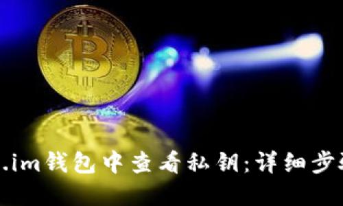 如何在Token.im钱包中查看私钥：详细步骤与安全提示