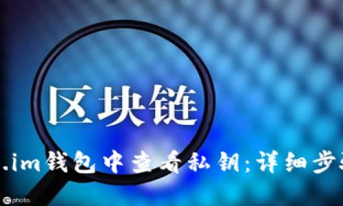如何在Token.im钱包中查看私钥：详细步骤与安全提示
