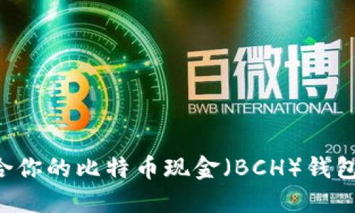 选择最适合你的比特币现金（BCH）钱包：全面指南