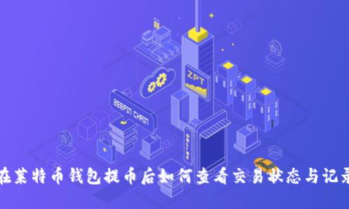 在莱特币钱包提币后如何查看交易状态与记录