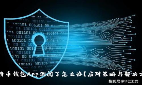 比特币钱包App倒闭了怎么办？应对策略与解决方案