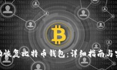 如何成功恢复比特币钱包：详细指南与实用命令