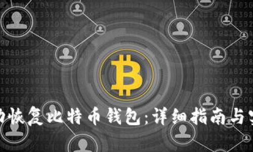 如何成功恢复比特币钱包：详细指南与实用命令