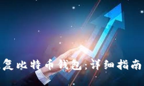 如何成功恢复比特币钱包：详细指南与实用命令