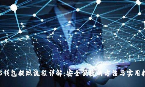 BTS钱包提现流程详解：安全便捷的方法与实用技巧