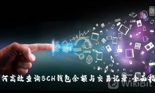 如何高效查询BCH钱包余额与交易记录：全面指南