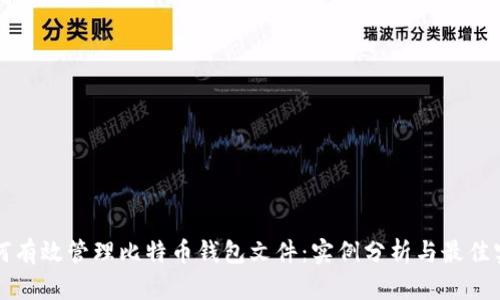 如何有效管理比特币钱包文件：实例分析与最佳实践